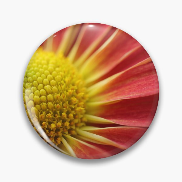 Item preview, Autumn Flower Macro designed and sold by LisaNaturePhoto.