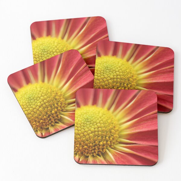 Item preview, Autumn Flower Macro designed and sold by LisaNaturePhoto.