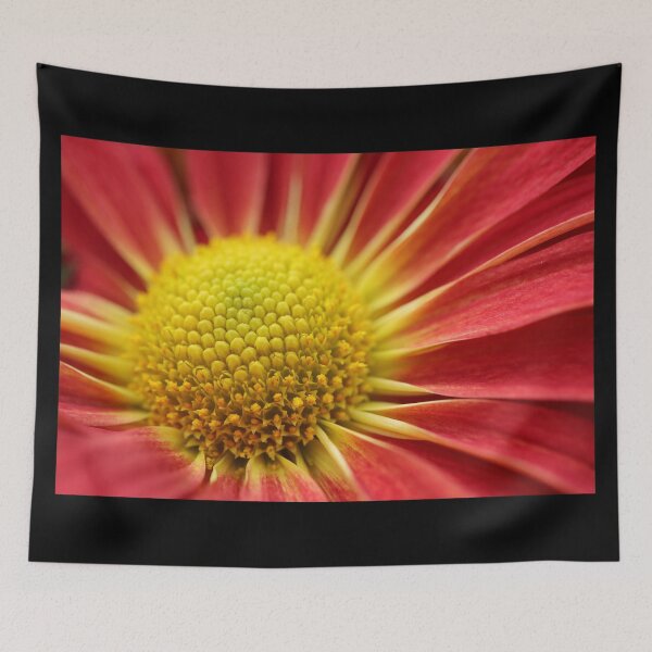 Item preview, Autumn Flower Macro designed and sold by LisaNaturePhoto.