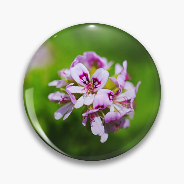 Item preview, Geranium In Pink Flower Ball designed and sold by Joy Watson - Natural Light Photography .