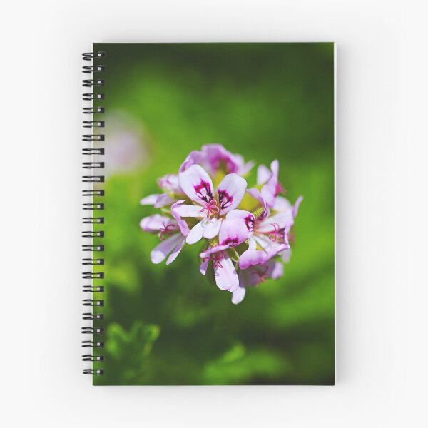 Item preview, Geranium In Pink Flower Ball designed and sold by Joy Watson - Natural Light Photography .
