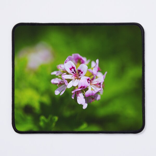Item preview, Geranium In Pink Flower Ball designed and sold by Joy Watson - Natural Light Photography .