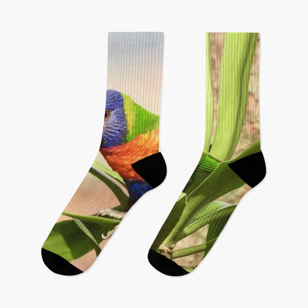 Item preview, Rainbow lorikeet lunch time designed and sold by Mark Grimsley.