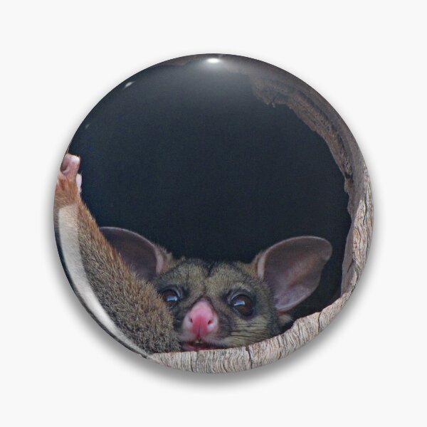Item preview, Coco The Australian Possum designed and sold by Ozjanette90.