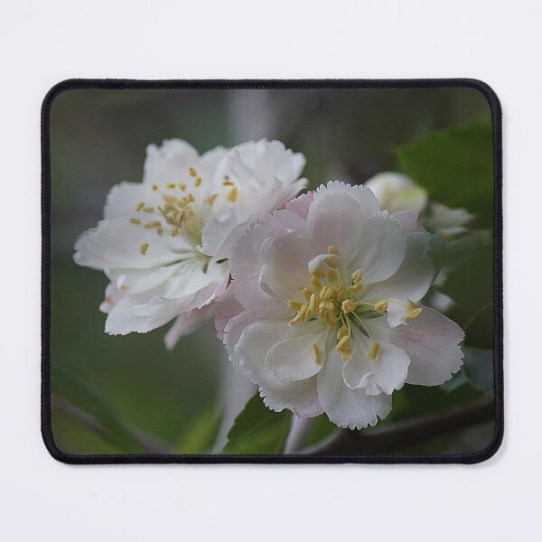 Item preview, Crbapple Flower designed and sold by Kim Chi Thai.