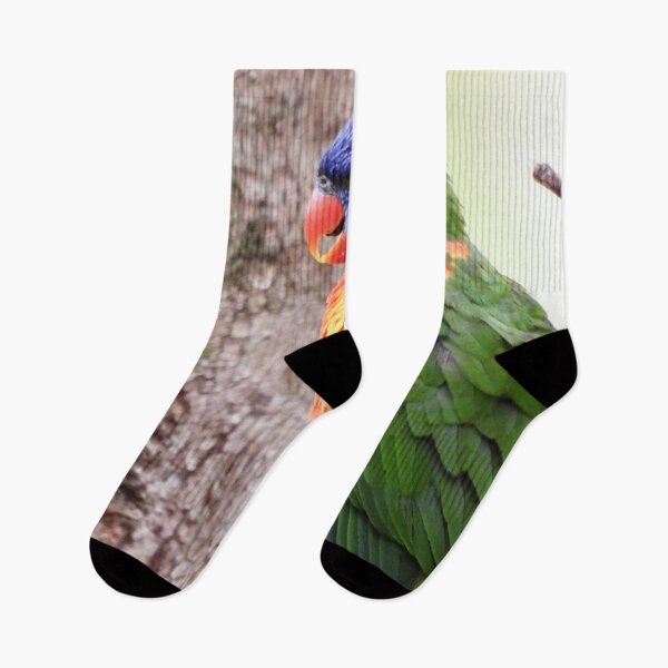 Item preview, Rainbow lorikeet on the lookout designed and sold by Mark Grimsley.
