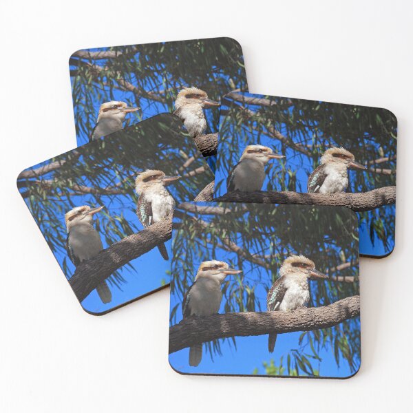 Item preview, Fotografía de aves australianas - Kookaburras designed and sold by Ozjanette90.