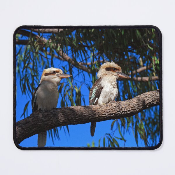 Item preview, Australian bird photography - Kookaburras designed and sold by Ozjanette90.