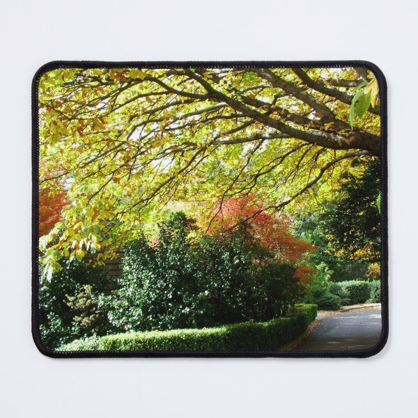Item preview, Fall/Autumn Colours in Oz designed and sold by Ozjanette90.