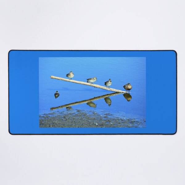 Item preview, Reflection designed and sold by Mothboybrown.