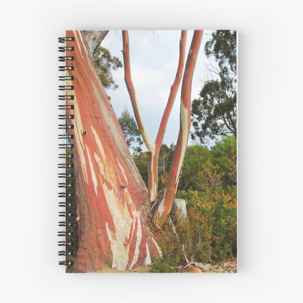 Item preview, Tassie Gum designed and sold by Ozjanette90.