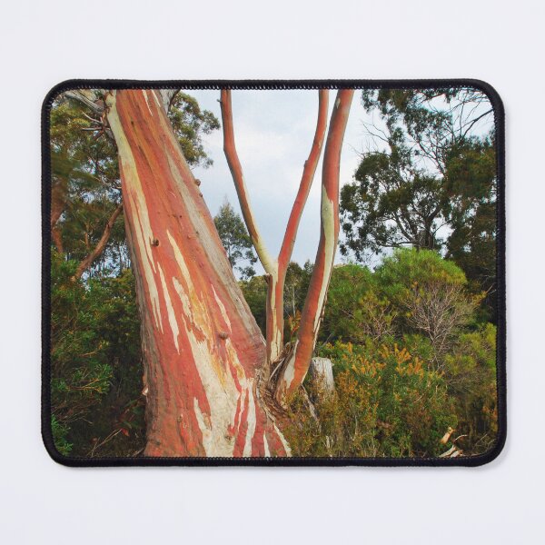 Item preview, Tassie Gum designed and sold by Ozjanette90.