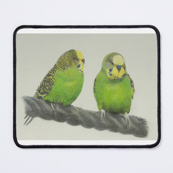 Item preview, Budgerigars, Australian, coloured pencil,  photograph reference, designed and sold by MatildaJT.