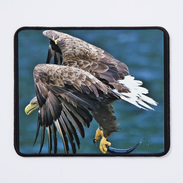 Item preview, White Tailed Eagle designed and sold by Mothboybrown.