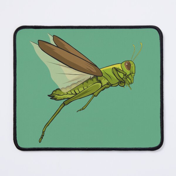 Item preview, Common Grasshopper Orthoptera - Jumping illustration designed and sold by Jagat Satwa.
