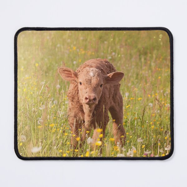 Item preview, Calf designed and sold by animal-animal.