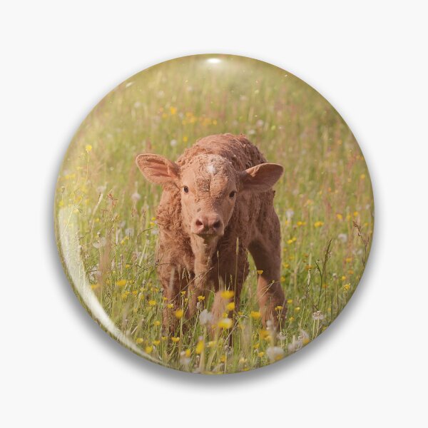 Item preview, Calf designed and sold by animal-animal.