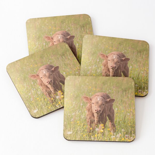 Item preview, Calf designed and sold by animal-animal.