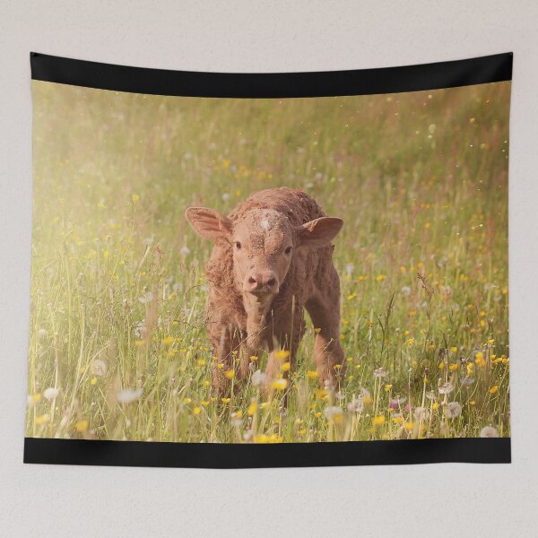Item preview, Calf designed and sold by animal-animal.