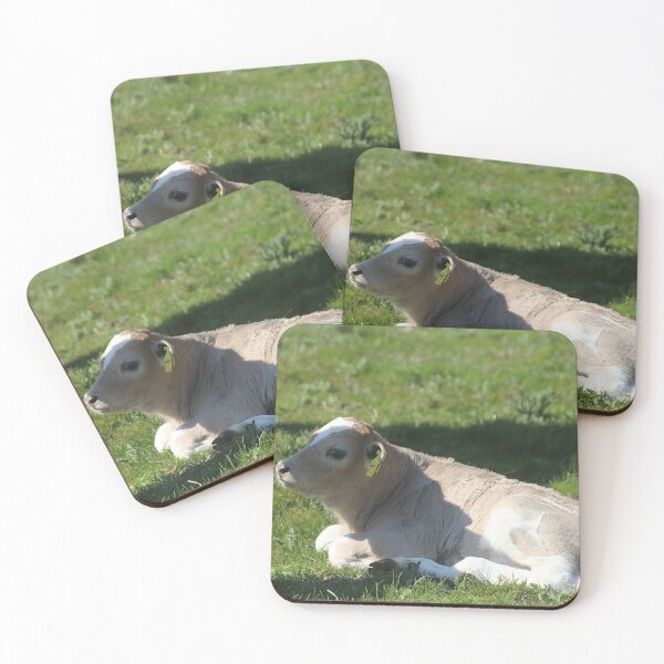Item preview, Calf designed and sold by animal-animal.