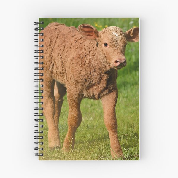 Item preview, Calf designed and sold by animal-animal.