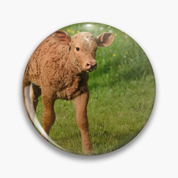 Item preview, Calf designed and sold by animal-animal.