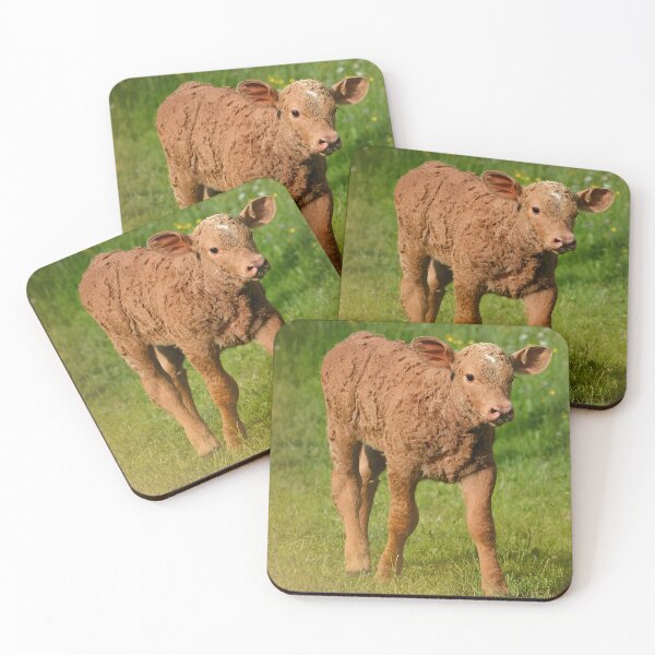 Item preview, Calf designed and sold by animal-animal.