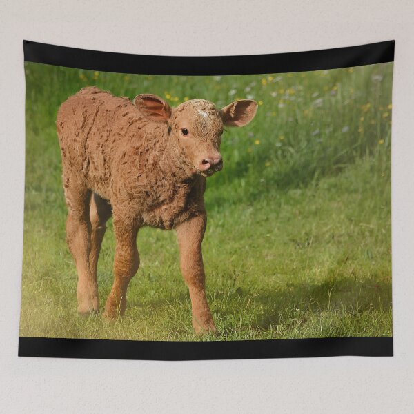 Item preview, Calf designed and sold by animal-animal.