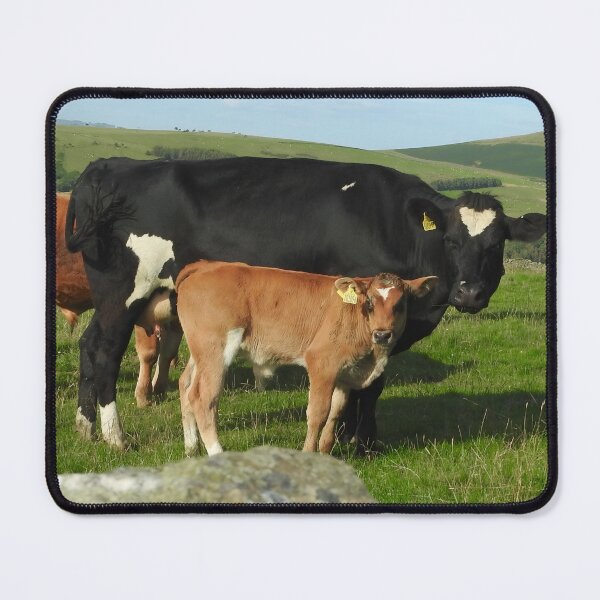 Item preview, Calf designed and sold by animal-animal.