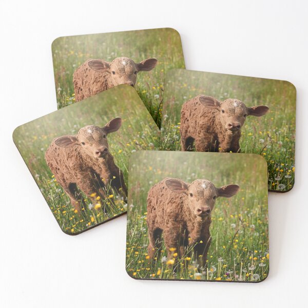 Item preview, Calf designed and sold by animal-animal.