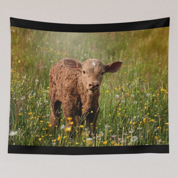 Item preview, Calf designed and sold by animal-animal.