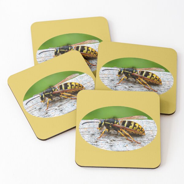 Item preview, Wasp designed and sold by Dalyndigital Photography.