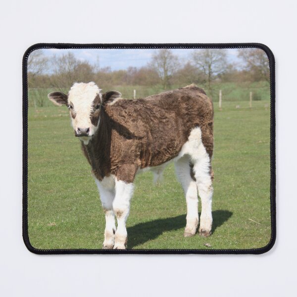 Item preview, Calf designed and sold by animal-animal.
