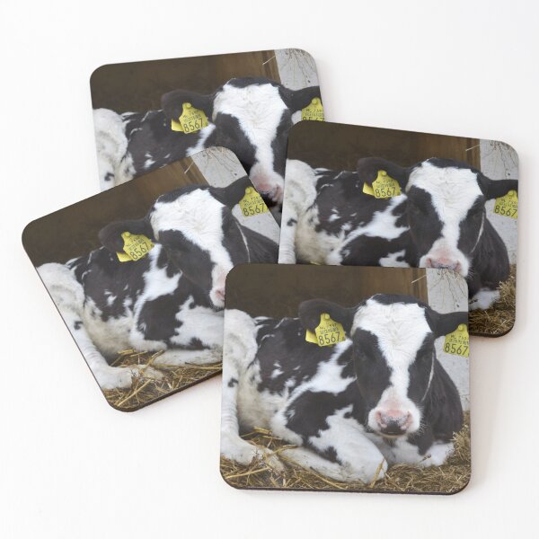 Item preview, Calf designed and sold by animal-animal.