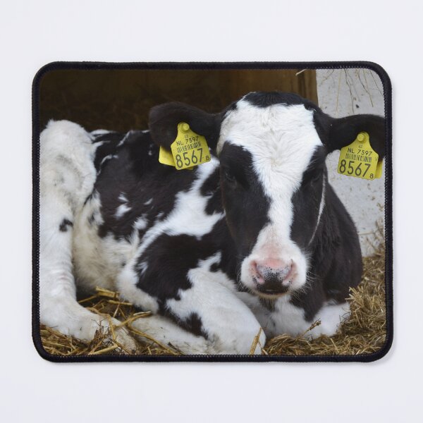 Item preview, Calf designed and sold by animal-animal.