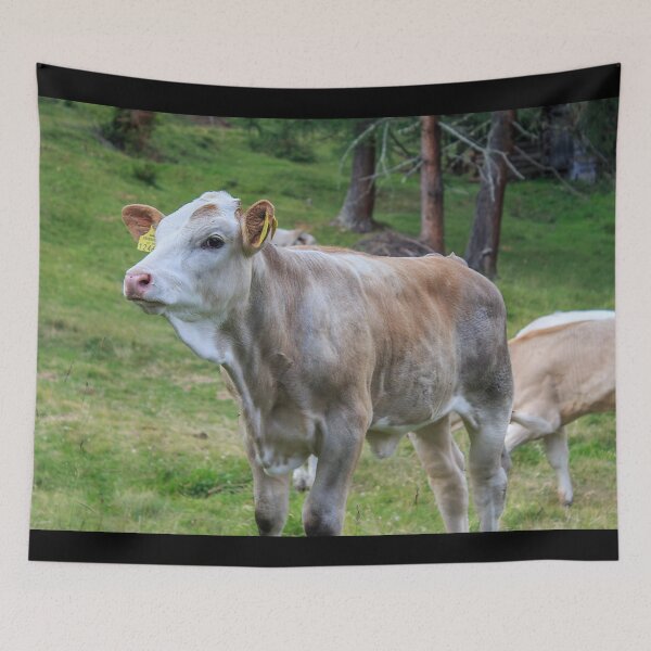 Item preview, Calf designed and sold by animal-animal.