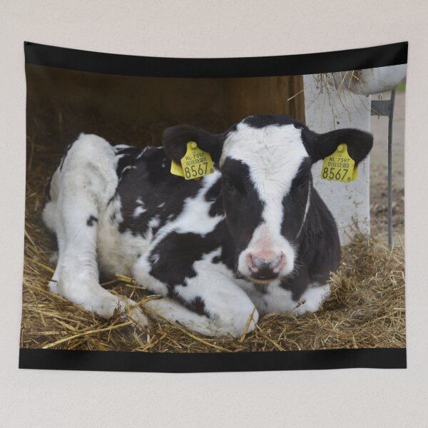 Item preview, Calf designed and sold by animal-animal.