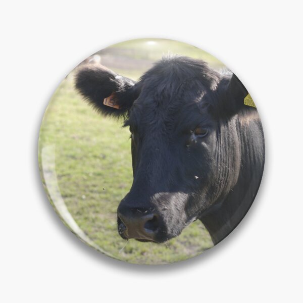 Item preview, Angus Cow - Angus Cattle - Angus Beef designed and sold by animal-animal.