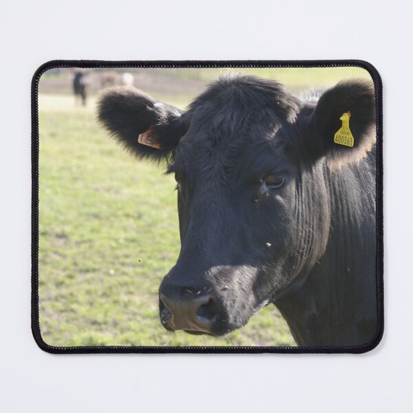 Item preview, Angus Cow - Angus Cattle - Angus Beef designed and sold by animal-animal.