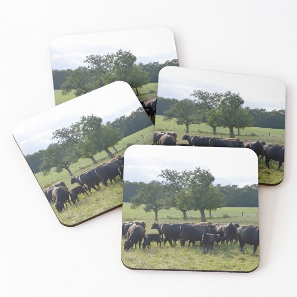 Item preview, Angus Cow - Angus Cattle - Angus Beef designed and sold by animal-animal.