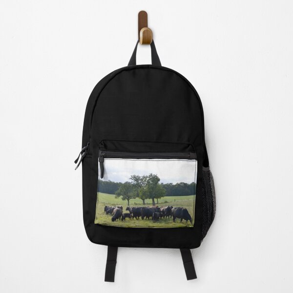 Item preview, Angus Cow - Angus Cattle - Angus Beef designed and sold by animal-animal.