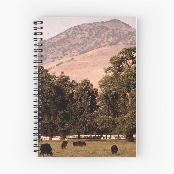Item preview, Angus Cow - Angus Cattle - Angus Beef designed and sold by animal-animal.