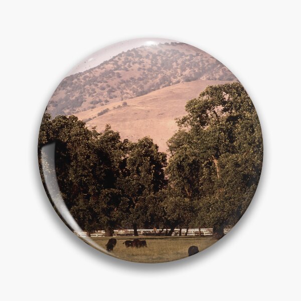 Item preview, Angus Cow - Angus Cattle - Angus Beef designed and sold by animal-animal.