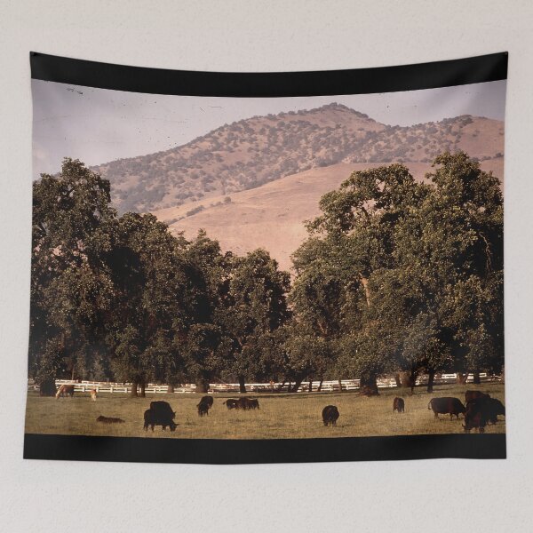 Item preview, Angus Cow - Angus Cattle - Angus Beef designed and sold by animal-animal.