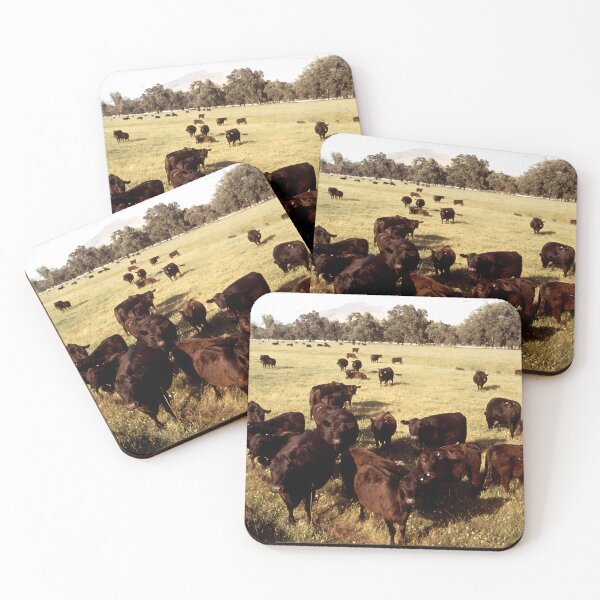 Item preview, Angus Cow - Angus Cattle - Angus Beef designed and sold by animal-animal.