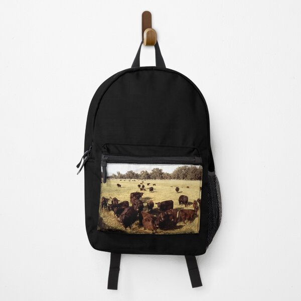Item preview, Angus Cow - Angus Cattle - Angus Beef designed and sold by animal-animal.