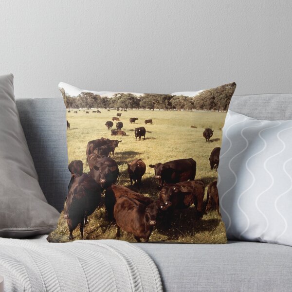 Item preview, Angus Cow - Angus Cattle - Angus Beef designed and sold by animal-animal.