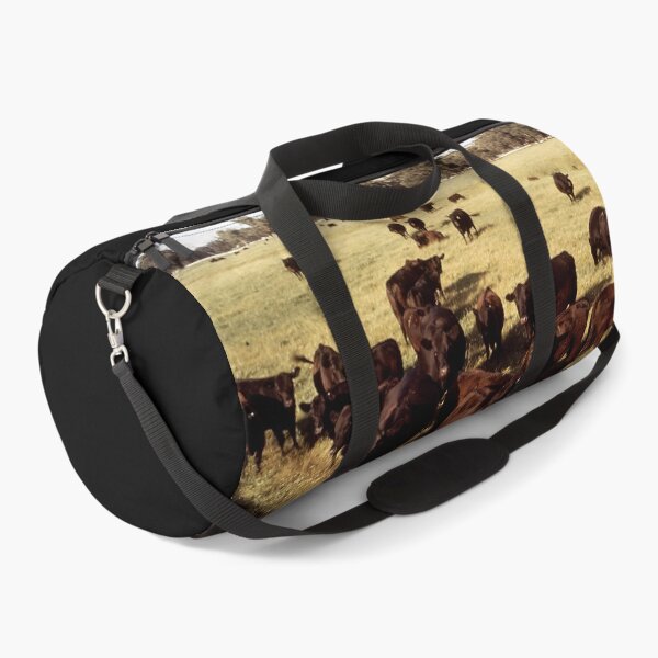 Item preview, Angus Cow - Angus Cattle - Angus Beef designed and sold by animal-animal.