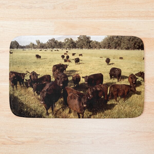 Item preview, Angus Cow - Angus Cattle - Angus Beef designed and sold by animal-animal.