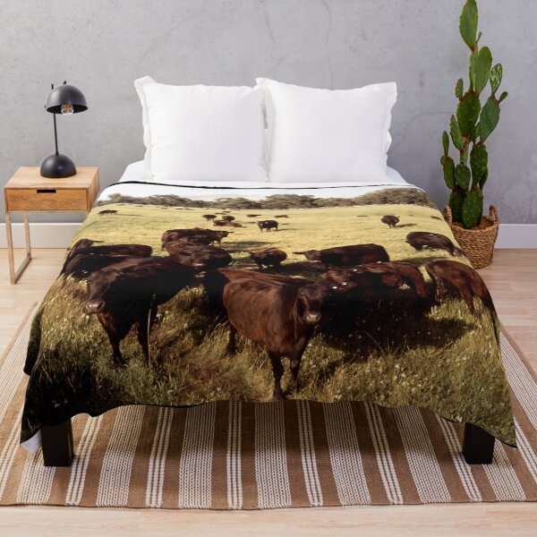 Item preview, Angus Cow - Angus Cattle - Angus Beef designed and sold by animal-animal.